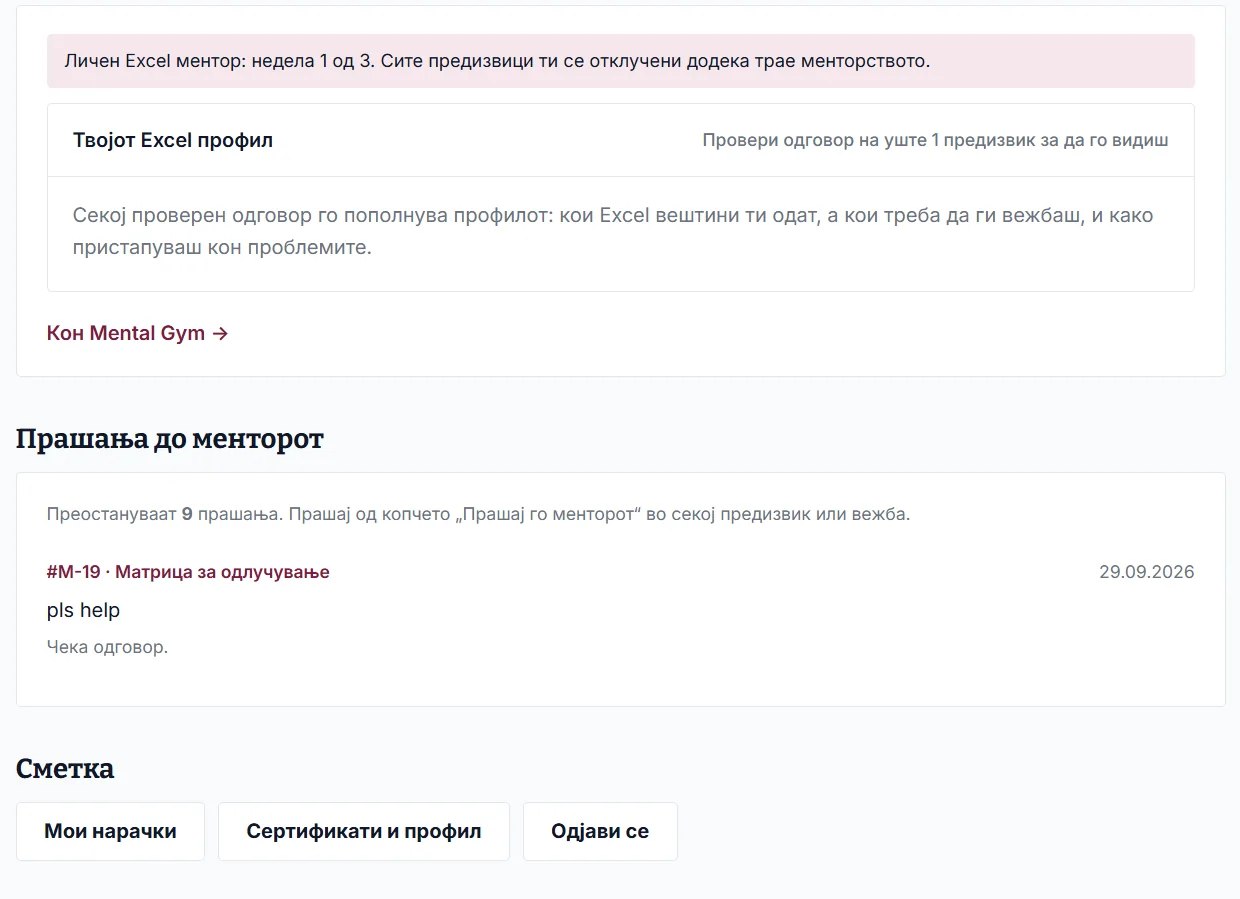 Твојата сметка: менторска недела, Excel профил и прашањата до менторот